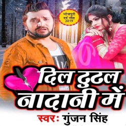 Dil Tutal Nadani Me Image
