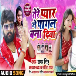 Tere Pyar Ne Pagal Bana Diya Image