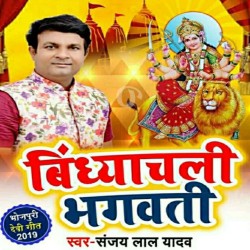 Vindhyachali Bhagawati Image