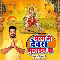 Mela Me Dewra Bhulail Ba Image