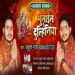 Hamro Bhulail Dulhiniya Image