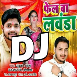 Fail Ba Lawanda A Gori DJ Song Image