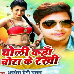 Hits Of Awadhesh Premi 2019 Image