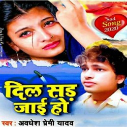 Bhitari Ghahil Dil  Hoke Sad Jaai Ho Image
