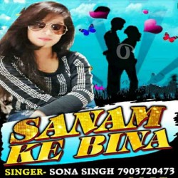 Sanam Ke Bina Image