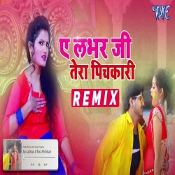 A Lover Ji Tera Hi Pichkari Pasand Karti Hu Dj Song Image