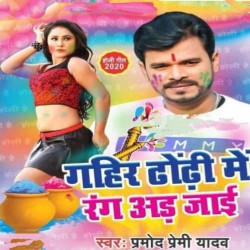 Gahir Dhorhi Me Rang Ad Jaai Image