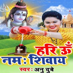 Hari On Namah Shivay Image