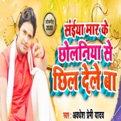 Saiya Mar Ke Chholaniya Se Chhil Dele Ba Image
