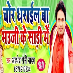 Chor Dharail Ba Bhauji Ke Saari Me Image