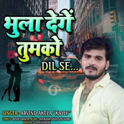 Bhula Denge Tumko Dil Se Image