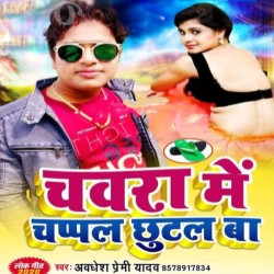 Chawara Me Chappal Chhutal Ba Image