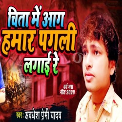 Chita Me Aag Aag Hamar Pagali Lagaai Re Image