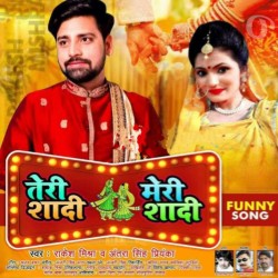 Teri Shaadi Meri Shaadi Image