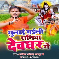 Bhulai Gaili Dhaniya Devghar Me Image