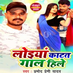 Loiya Katat Gaal Hile Image