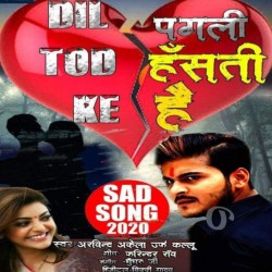 Dil Tod Ke Pagli Hasti Hai Image