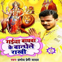 Gaiya Baghawa Ke Bandhele Rakhi Image