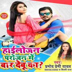 Hailojan Parojan Me Baar Debu Ka Image