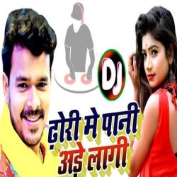 Dhorhi Me Pani Tohar Ade Lagi Ho DJ Remix Image