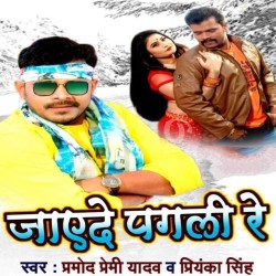Jayede Pagali Re Image