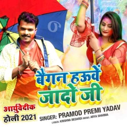 Baigan Hawe Jado Ji Image