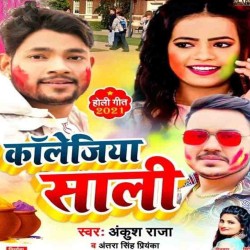 Collegia Saali Image