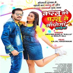 Kallu Ko Pallu Se Banoghi Kahiya Image