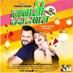 Jawani Zarda Ke Paan Image