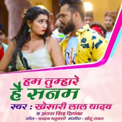 Ham Tumhare Hai Sanam Image