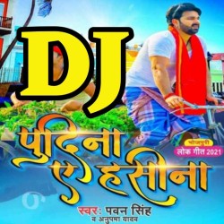 Lela Pudeena Bahari Aake Haseena DJ Remix Image
