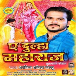 A Dulha Maharaj Image
