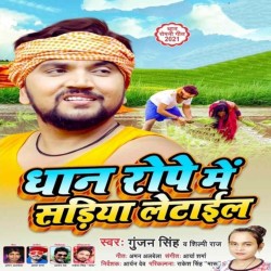 Dhaan Rope Me Sariya Letail Image