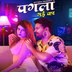 Pagla Gayi Kya Image